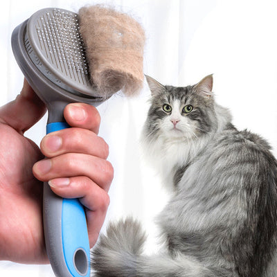 Tangle-Free Travels