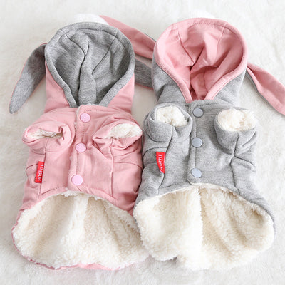 Style Your Pet with Comfort!